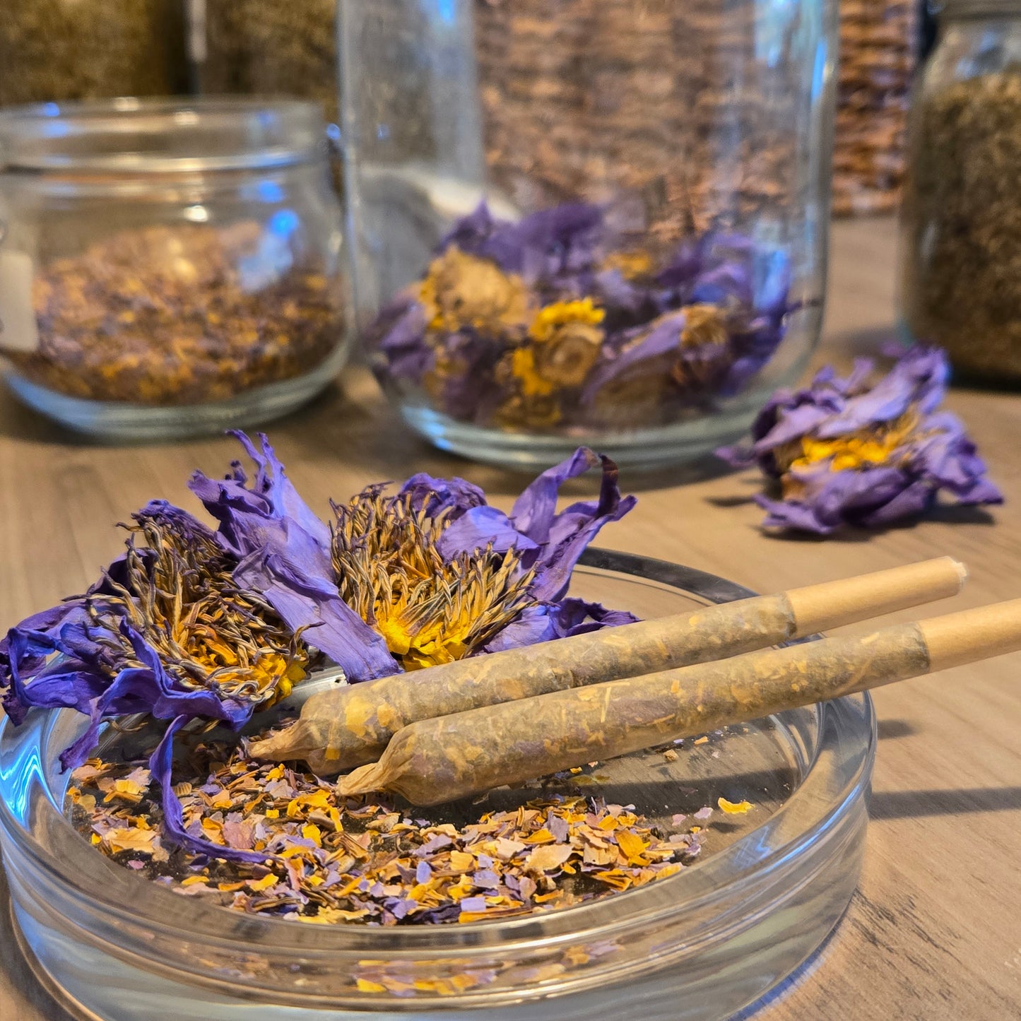 Two Astral Herbal pre rolls on a glass jar filled with dried blue lotus petals. Glass jars filled with dried herbs are in the background.