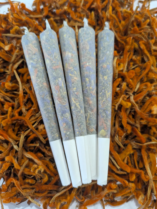 Five herbal pre rolls by Astral Herbal on a bed of wild dagga flowers on a white background.