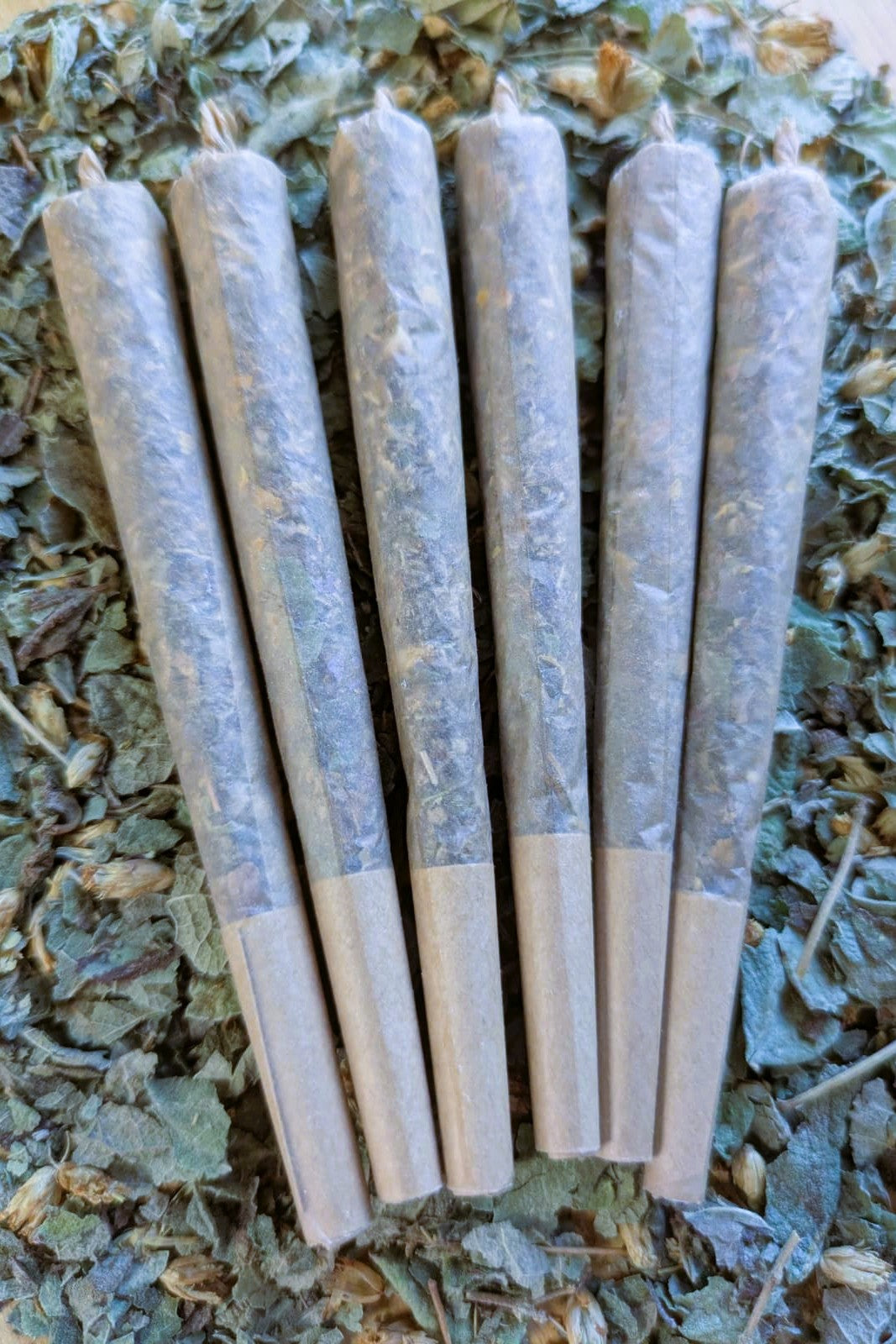 Lucid Dream Enhancing Pre Rolls - Mexican Dream Herb, Blue Lotus, Mugwort, Mullein, Damiana, and Peppermint