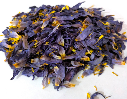 Dried blue lotus petals and stamens by Astral Herbal on a white background.