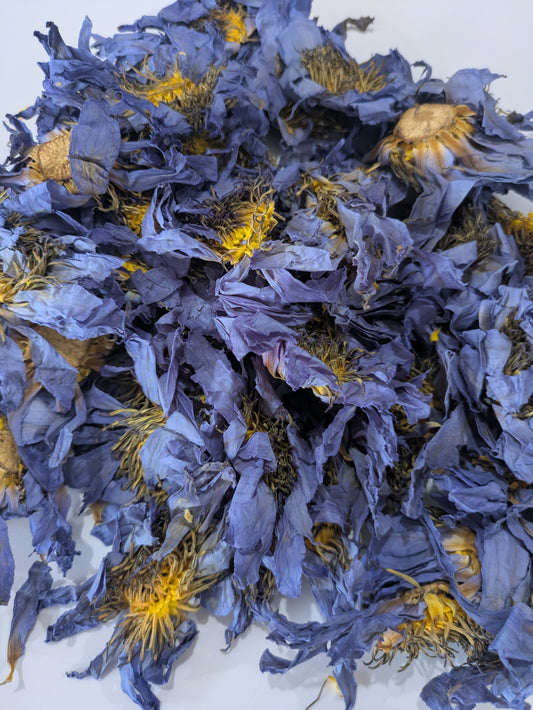 Blue Lotus Whole Flower