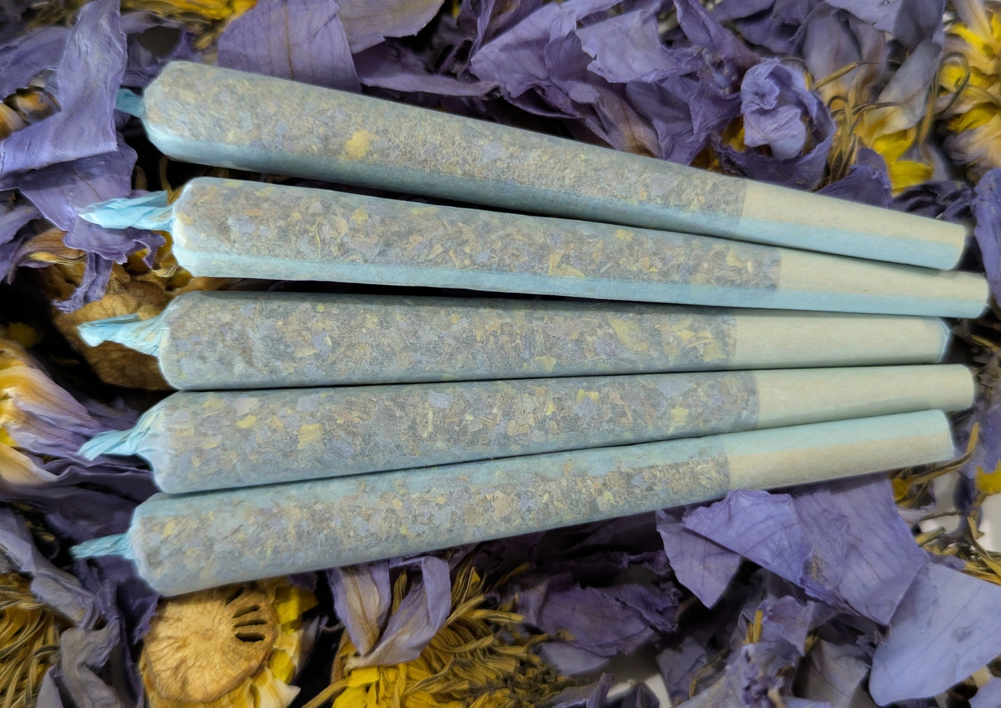 blue lotus pre rolls stacked on top of whole blue lotus flowers by Astral Herbal