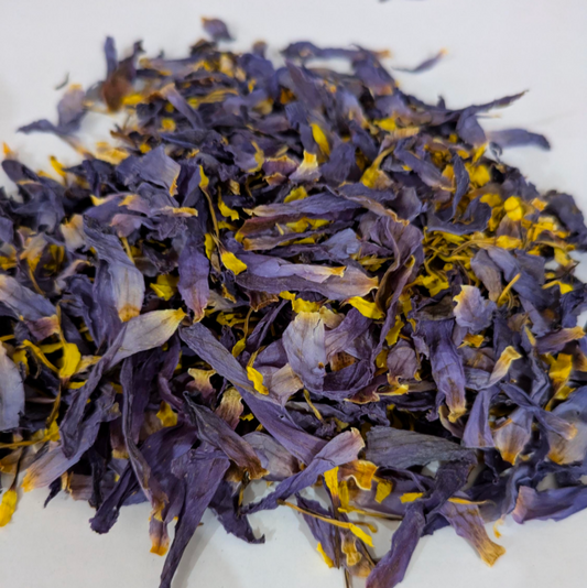 Dried blue lotus petals and stamens by Astral Herbal on a white background.