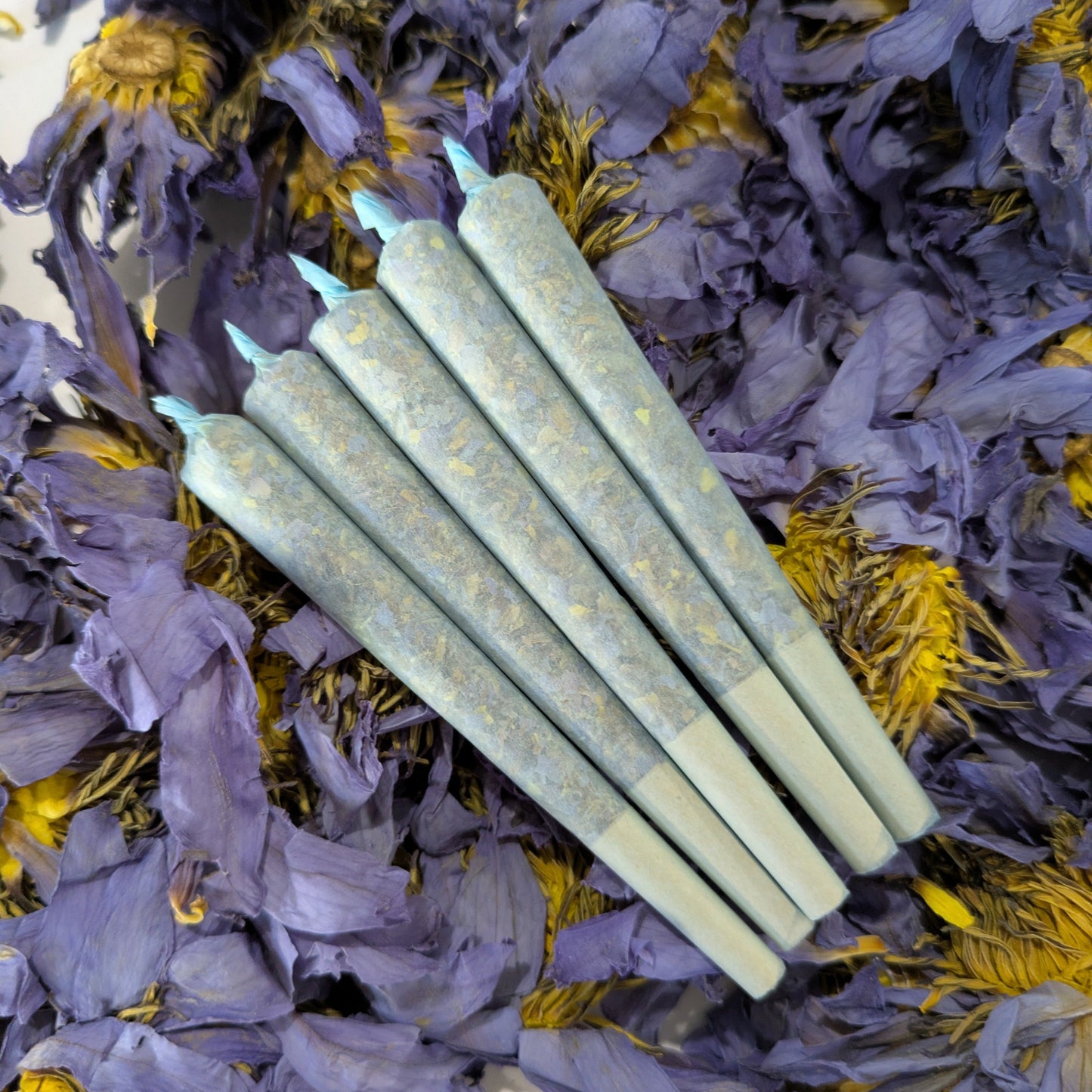 blue lotus pre rolls stacked on top of whole blue lotus flowers by Astral Herbal