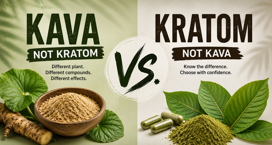 Kava vs. Kratom: What’s the Difference?