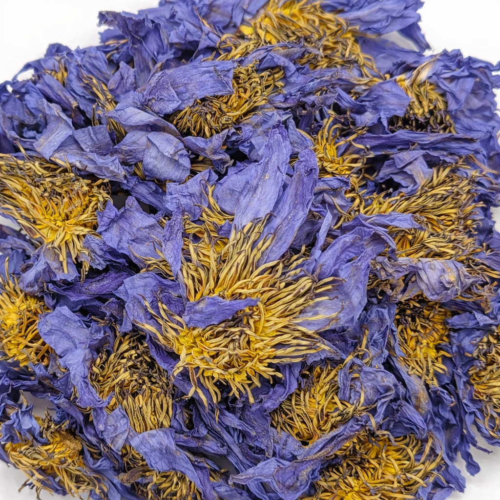 Close-up of dried blue and yellow lotus flowers on a white background