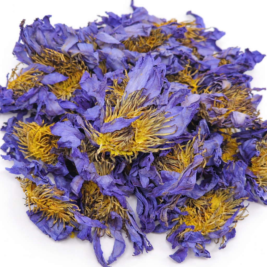 Purple and yellow dried lotus flowers on a white background