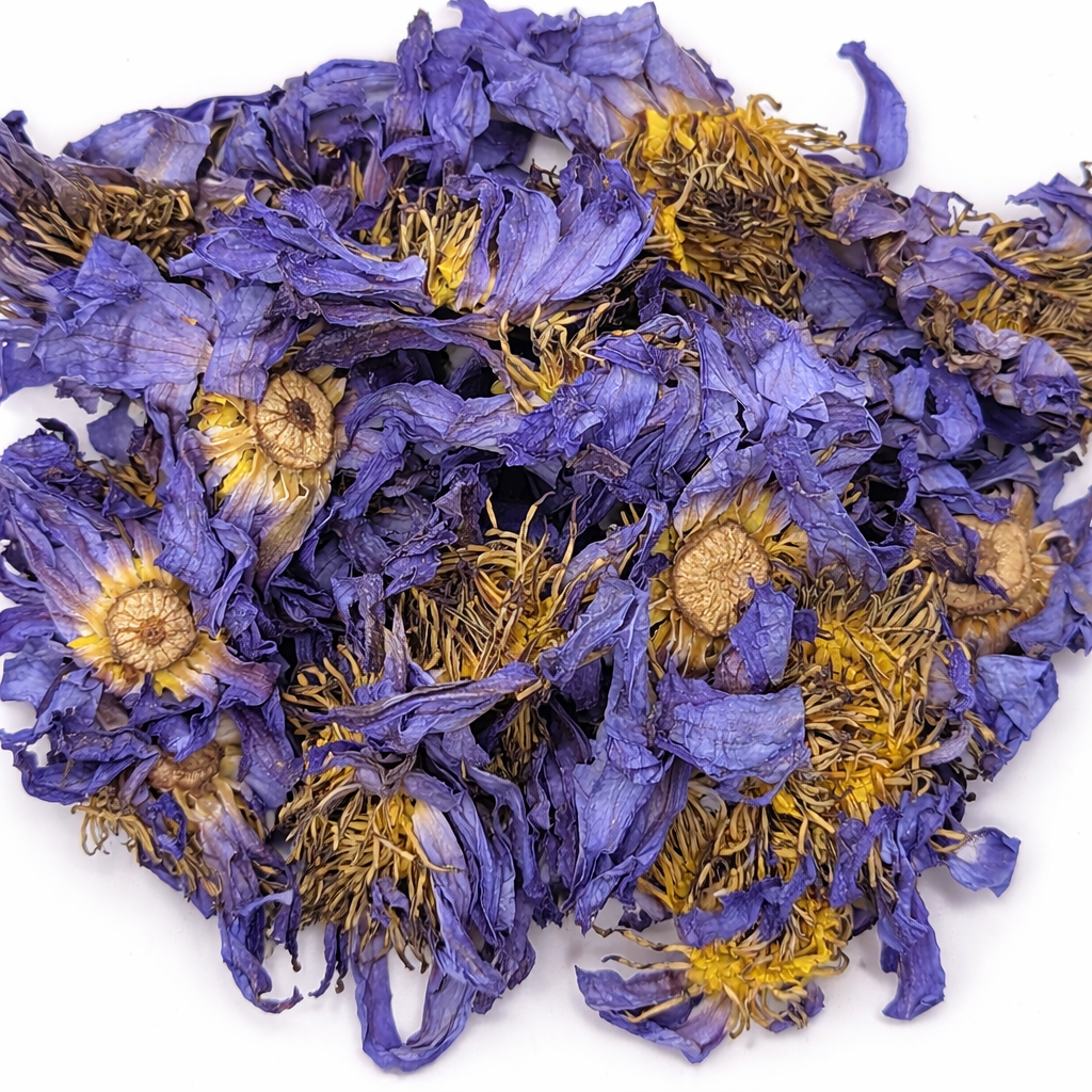 Dry blue and yellow lotus flowers on a white background