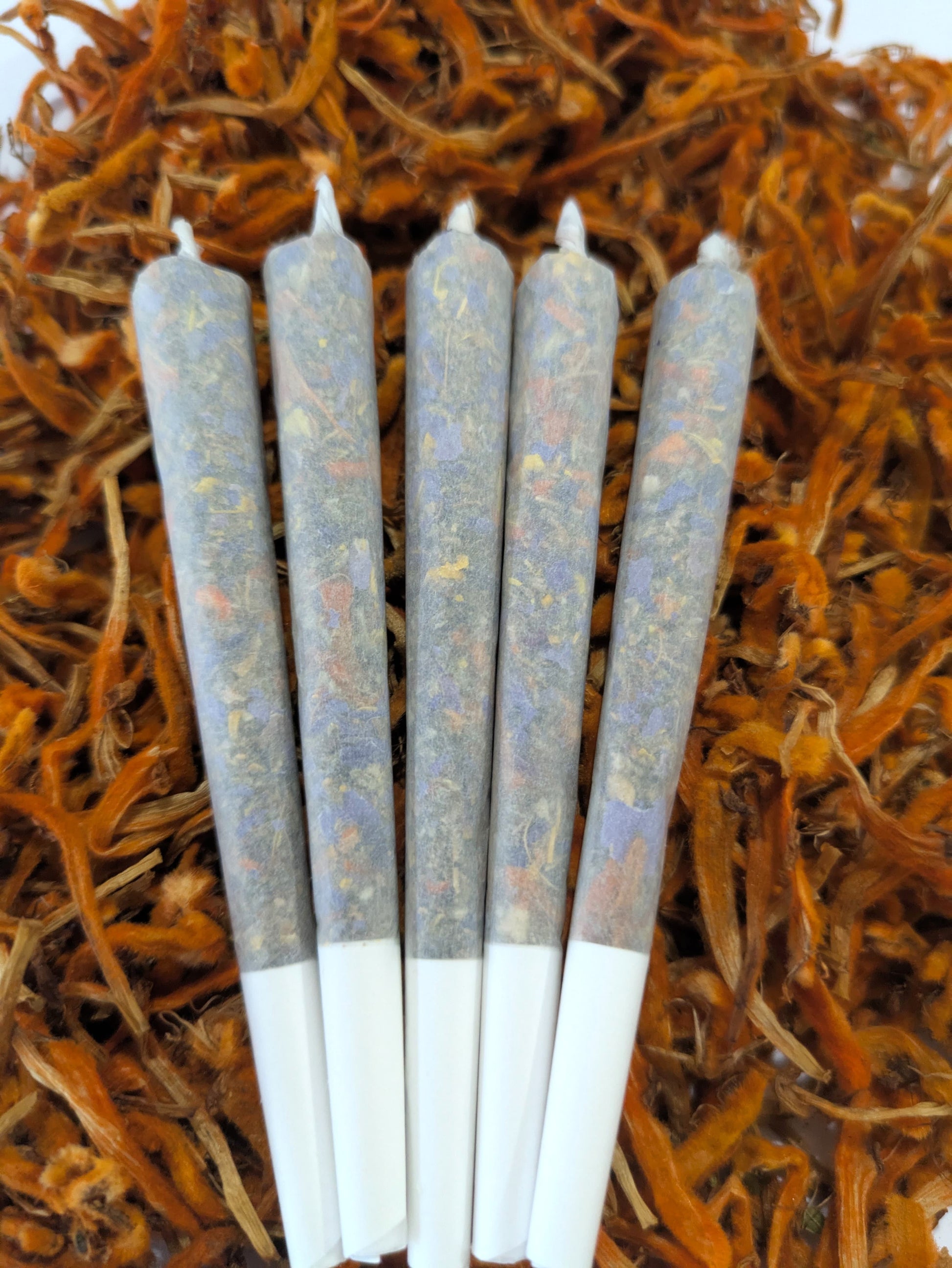 Five herbal pre rolls by Astral Herbal on a bed of wild dagga flowers on a white background.