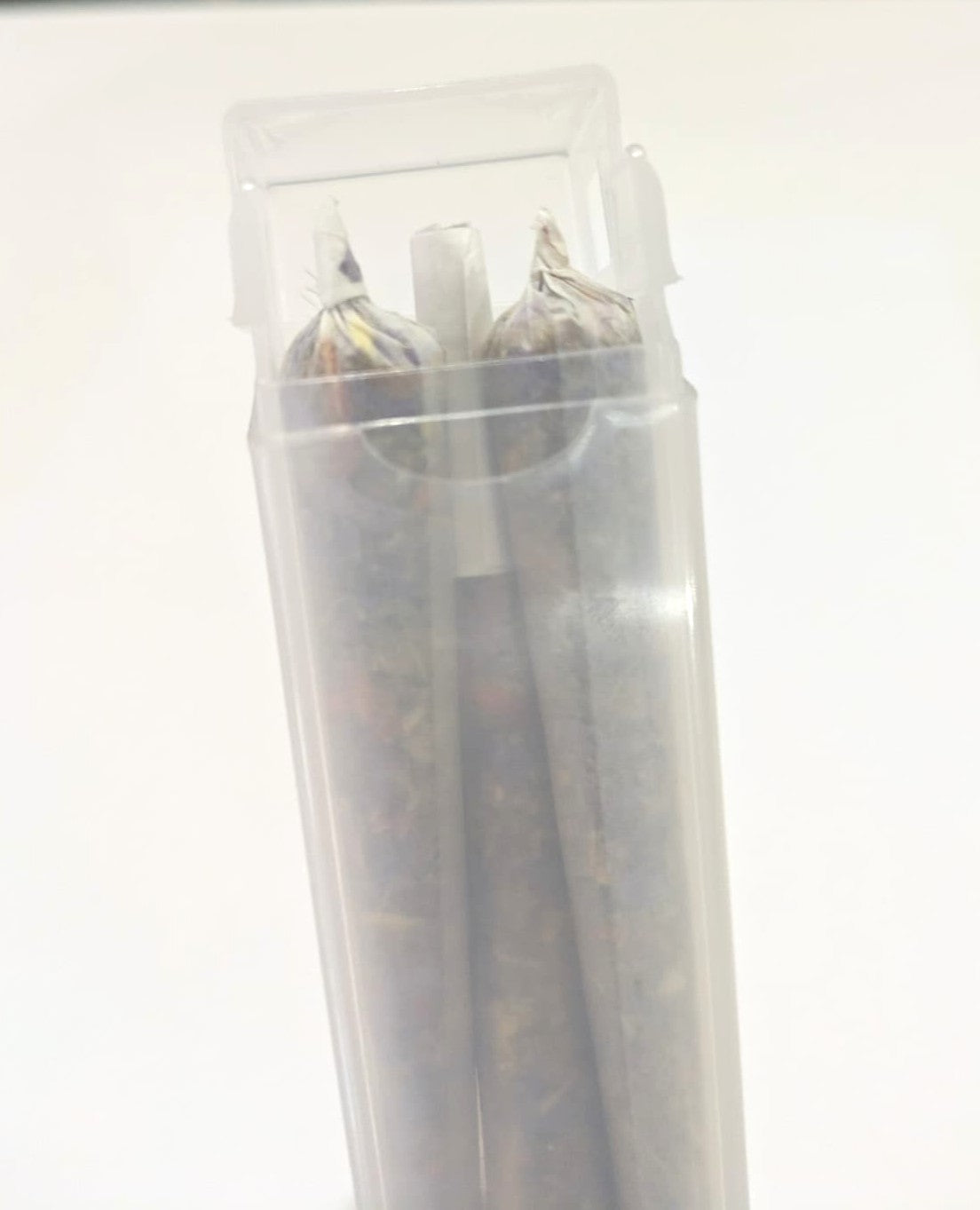 Three herbal pre roll cigarettes in a clear plastic container on a white background by Astral Herbal.