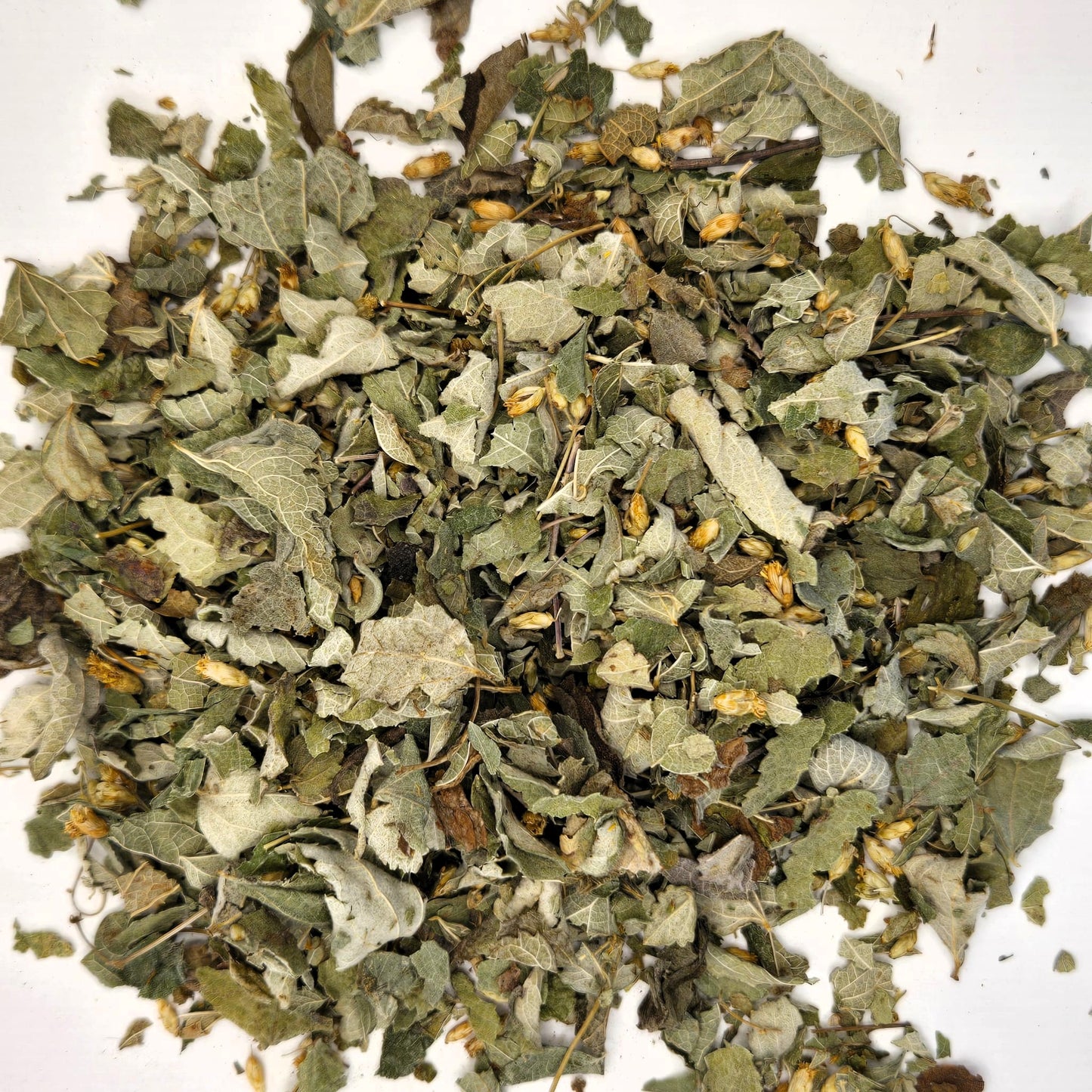 Calea Zacatechichi Dried Leaves | Mexican Dream Herb Loose Leaf | Natural Botanical | Ethically Sourced Herbal Plant
