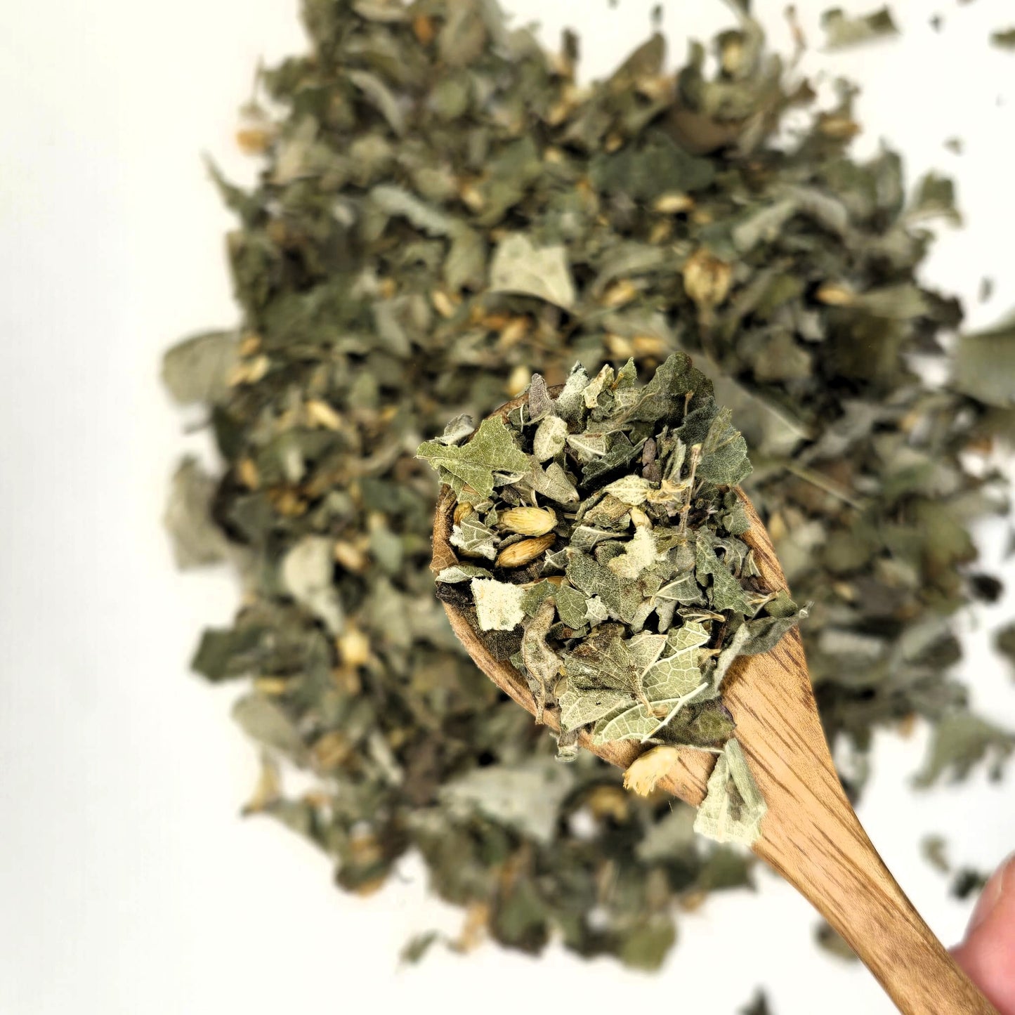 Calea Zacatechichi Dried Leaves | Mexican Dream Herb Loose Leaf | Natural Botanical | Ethically Sourced Herbal Plant