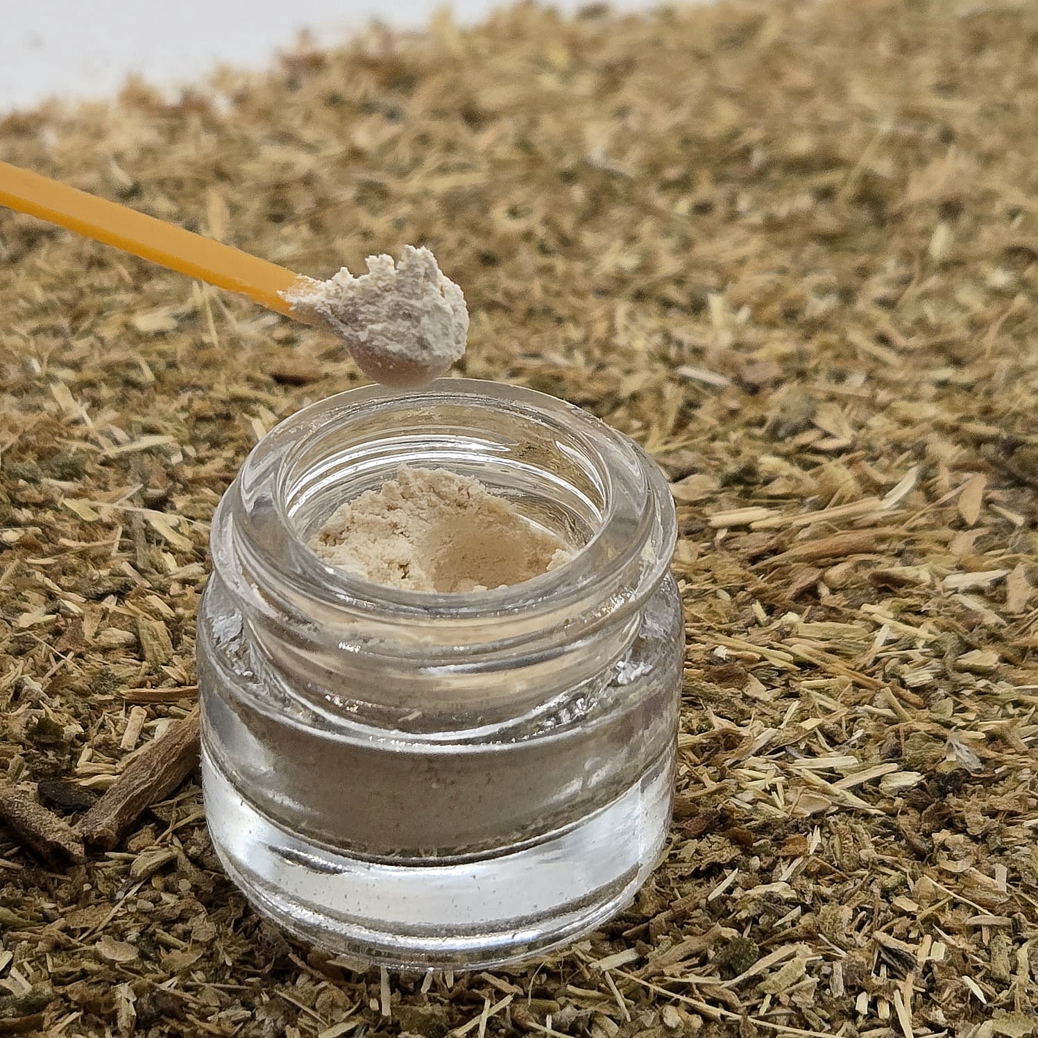 Kanna extract MT-55 in a glass jar with a background of fermented kanna by Astral Herbal.