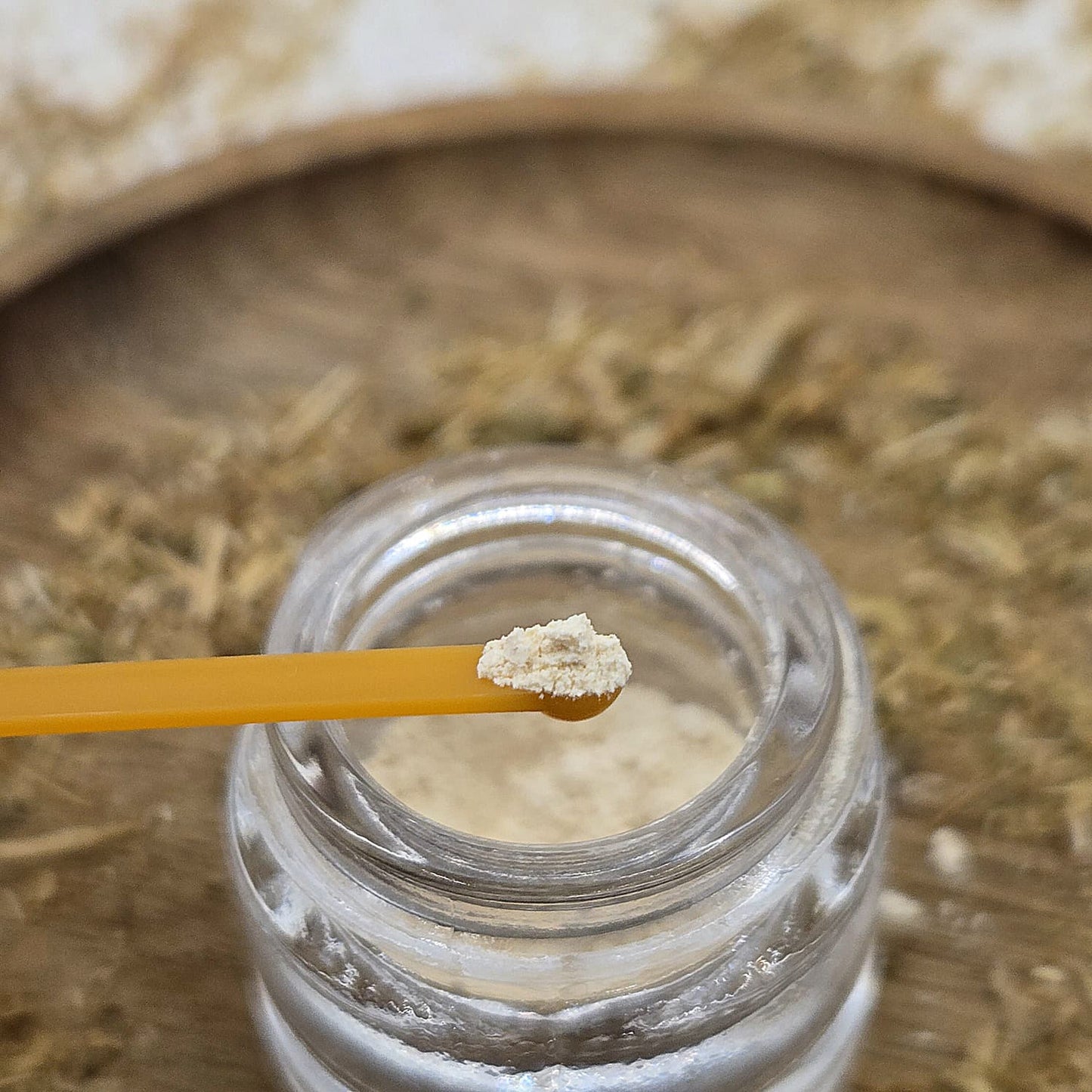Kanna extract MT-55 in a glass jar with a background of fermented kanna by Astral Herbal.