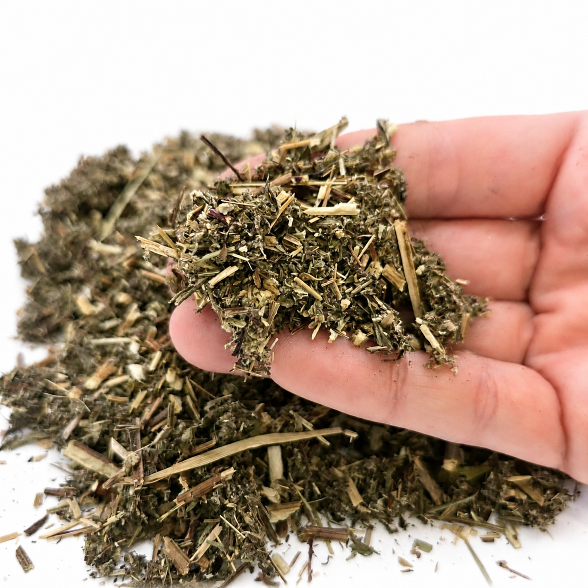 Mugwort — Dried Herb
