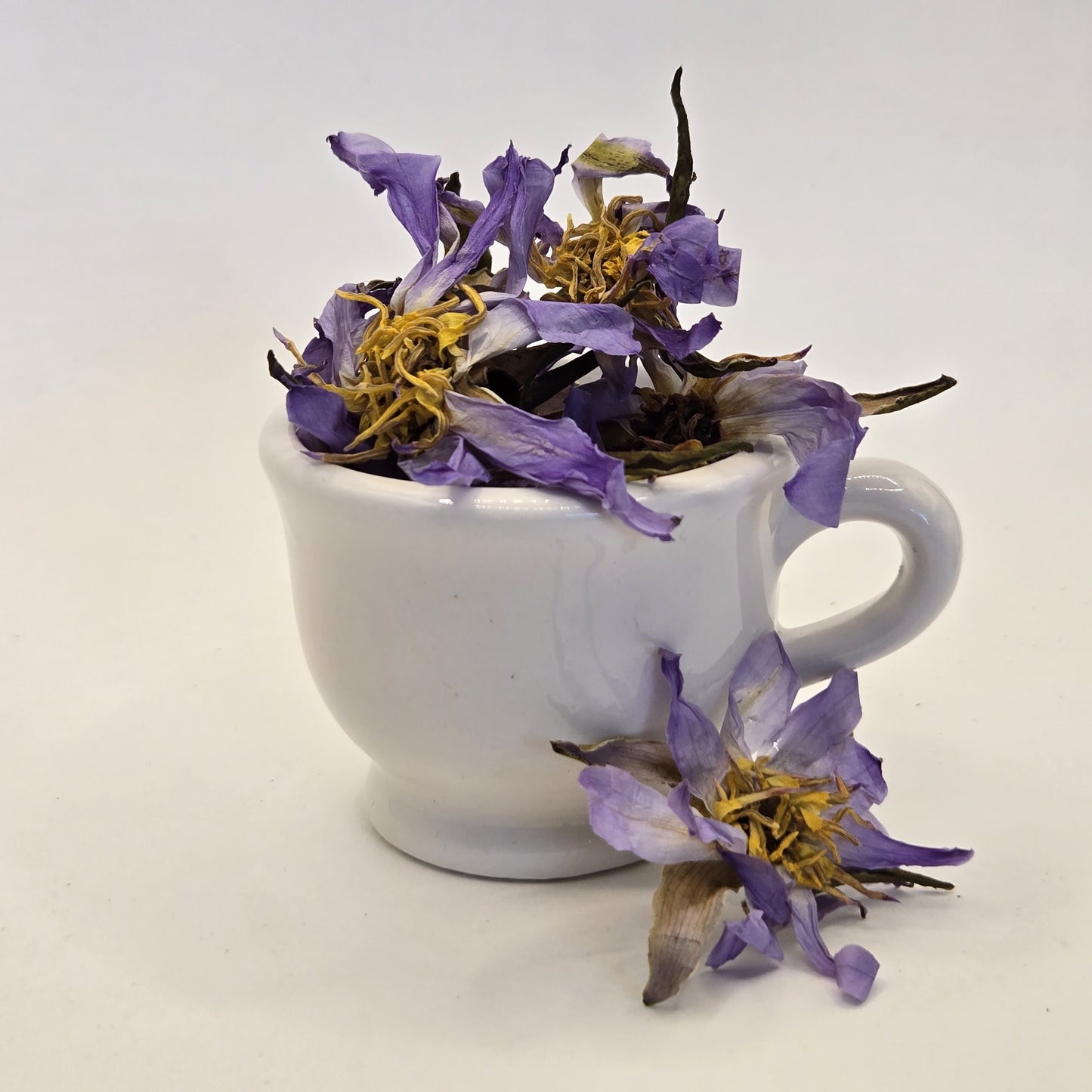 Authentic True Egyptian Blue Lotus Nymphaea caerulea